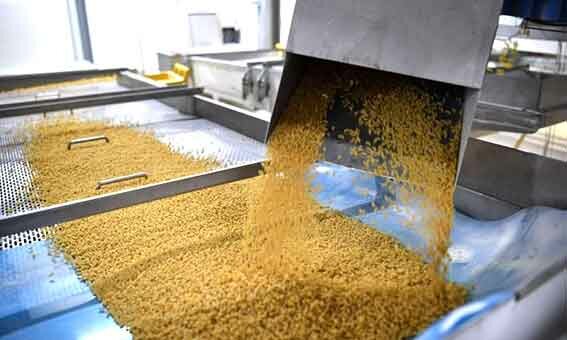 الجزائر تشتري نحو 200 ألف طن من القمح الصلد في مناقصة