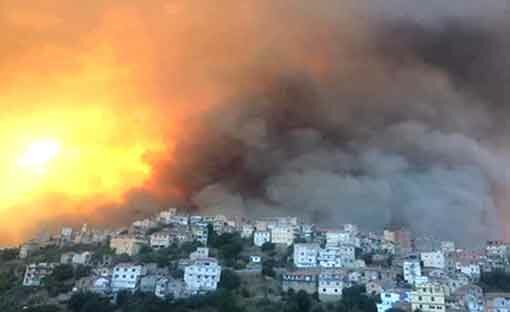 شاهد بالفيديو : وفاة 4 أشخاص و إصابة أخرين جراء حرائق الغابات بولاية تزي وزو بالجزائر